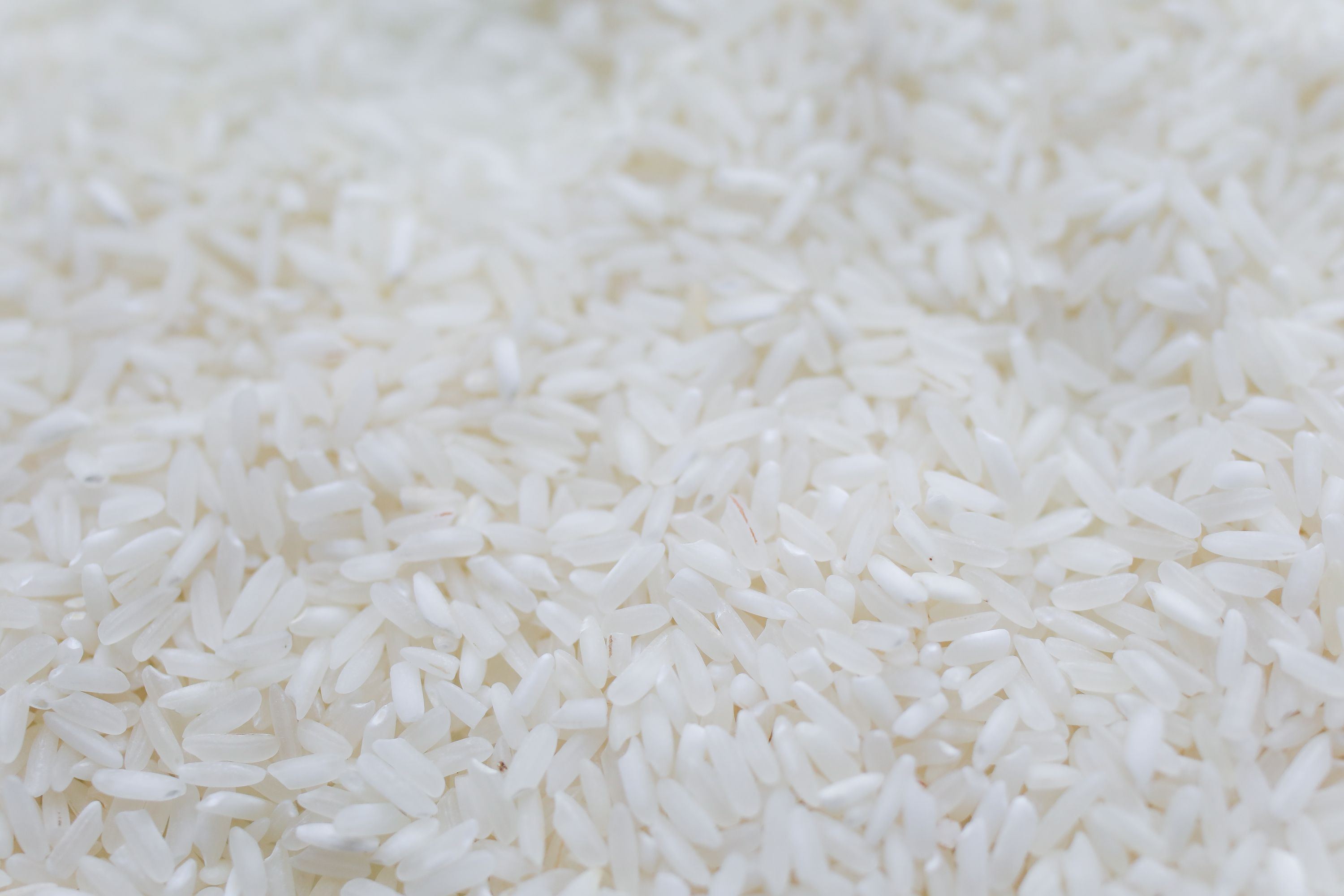 Short grain rice Pakistan B1 B2 Adam Rice Mills