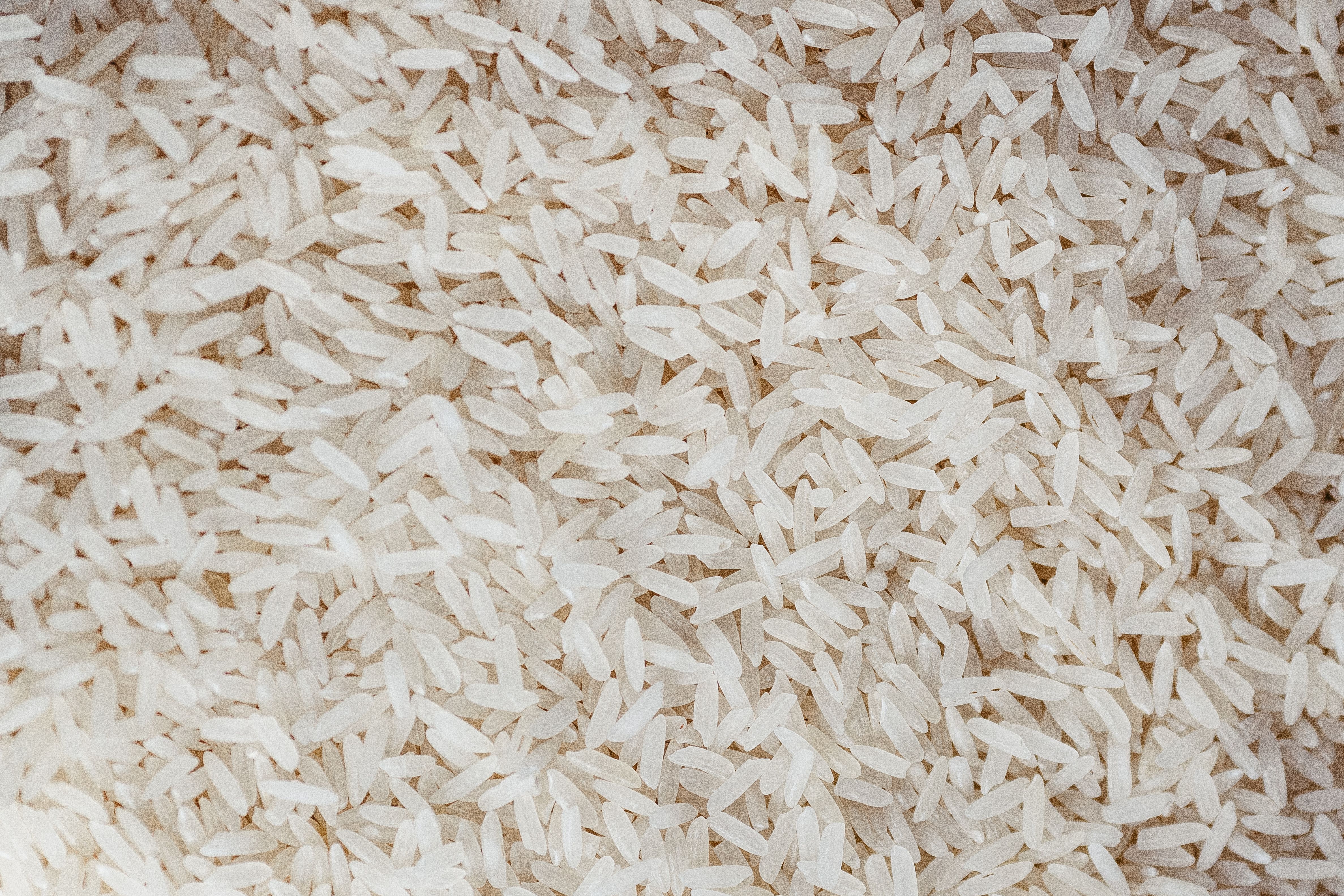Basmati rice price Pakistan 2026 varieties