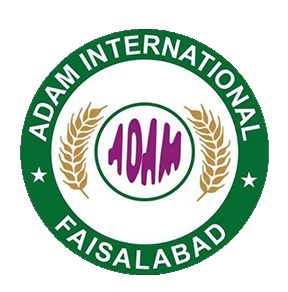 logo.png